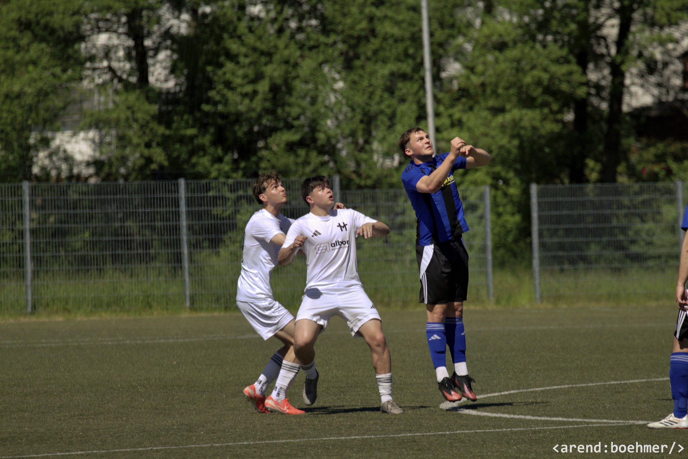 IMG 4791 web