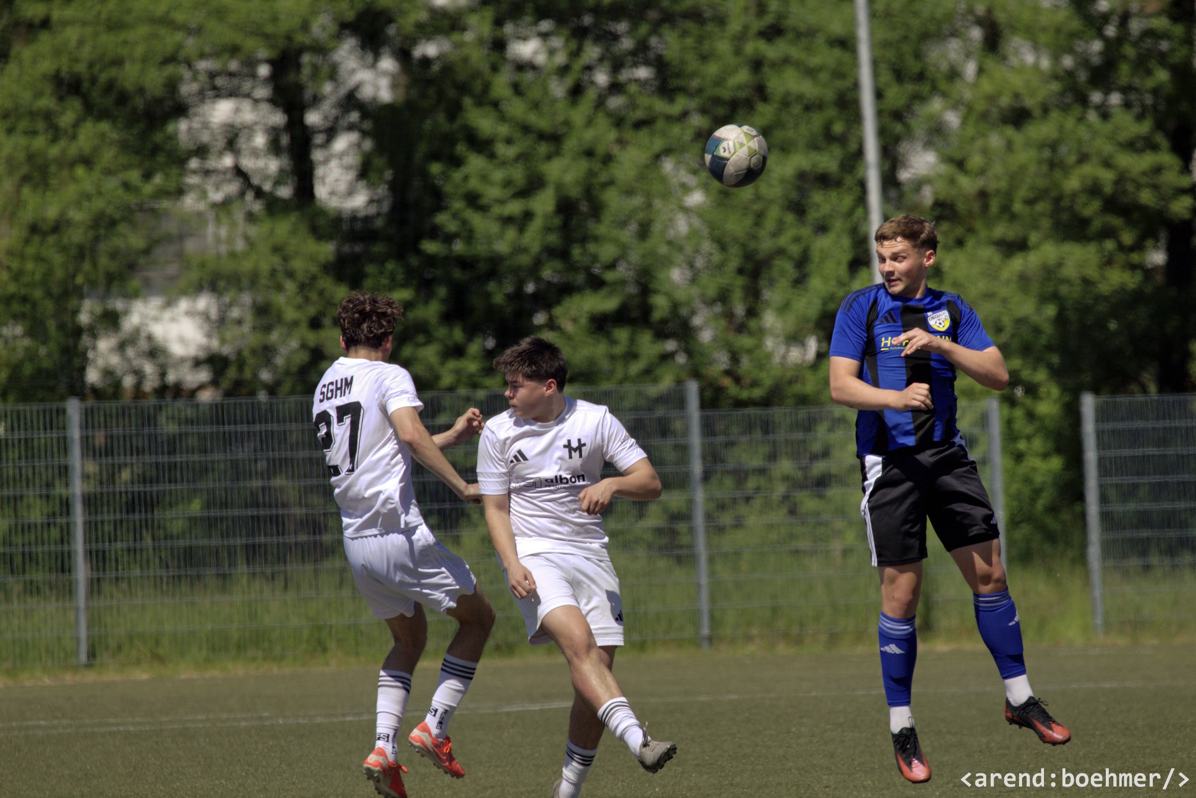 IMG 4792 web