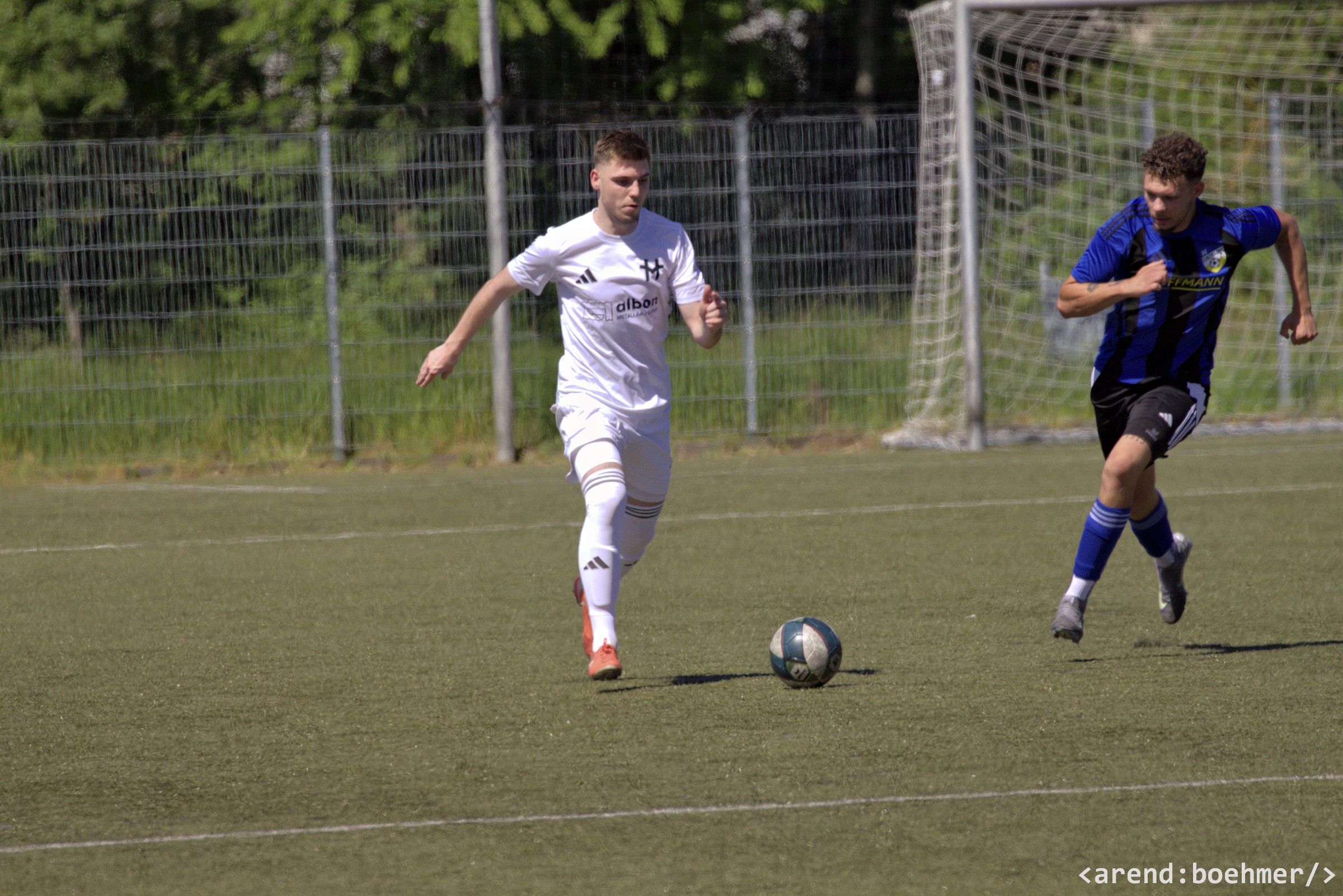IMG 4800 web