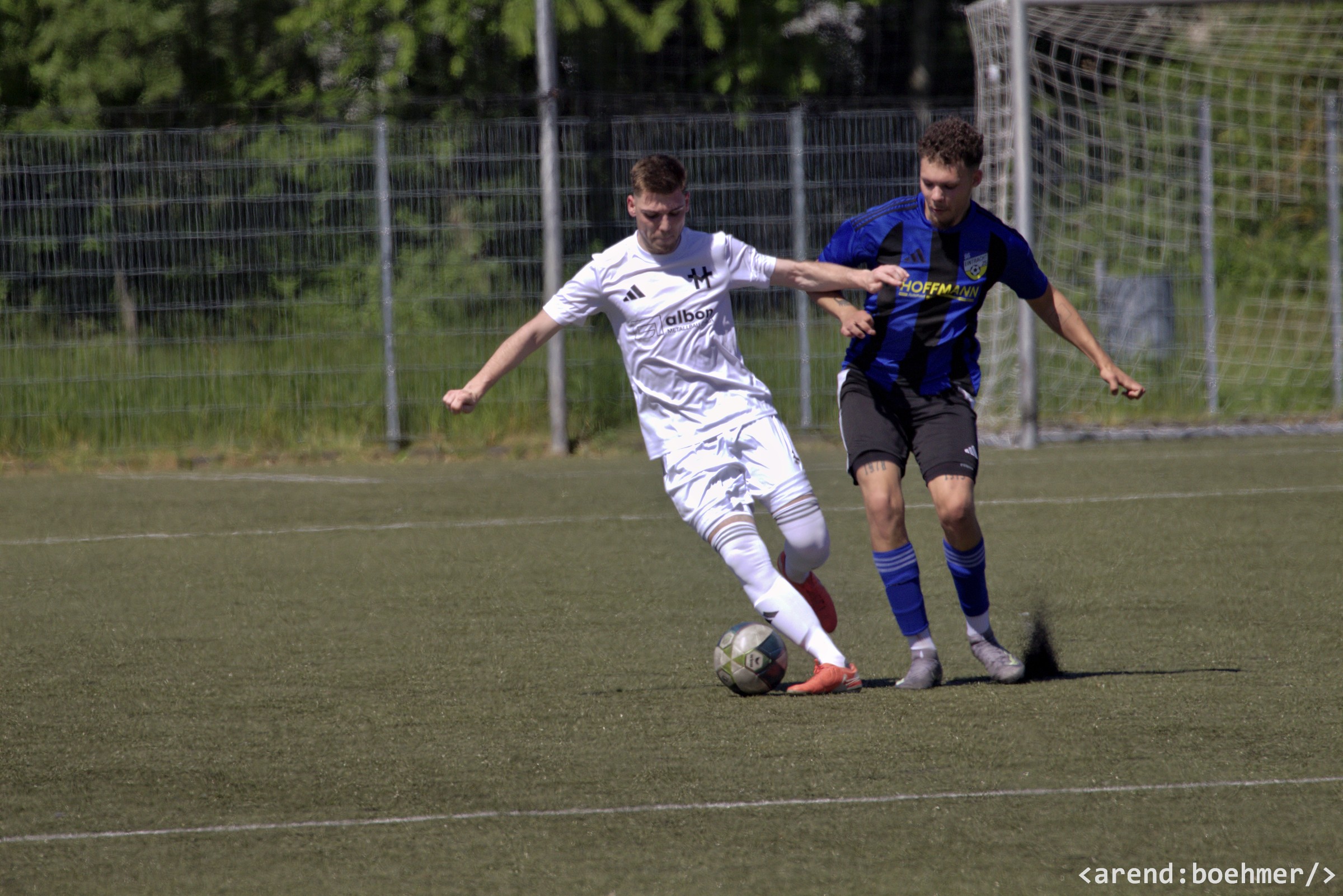 IMG 4801 web