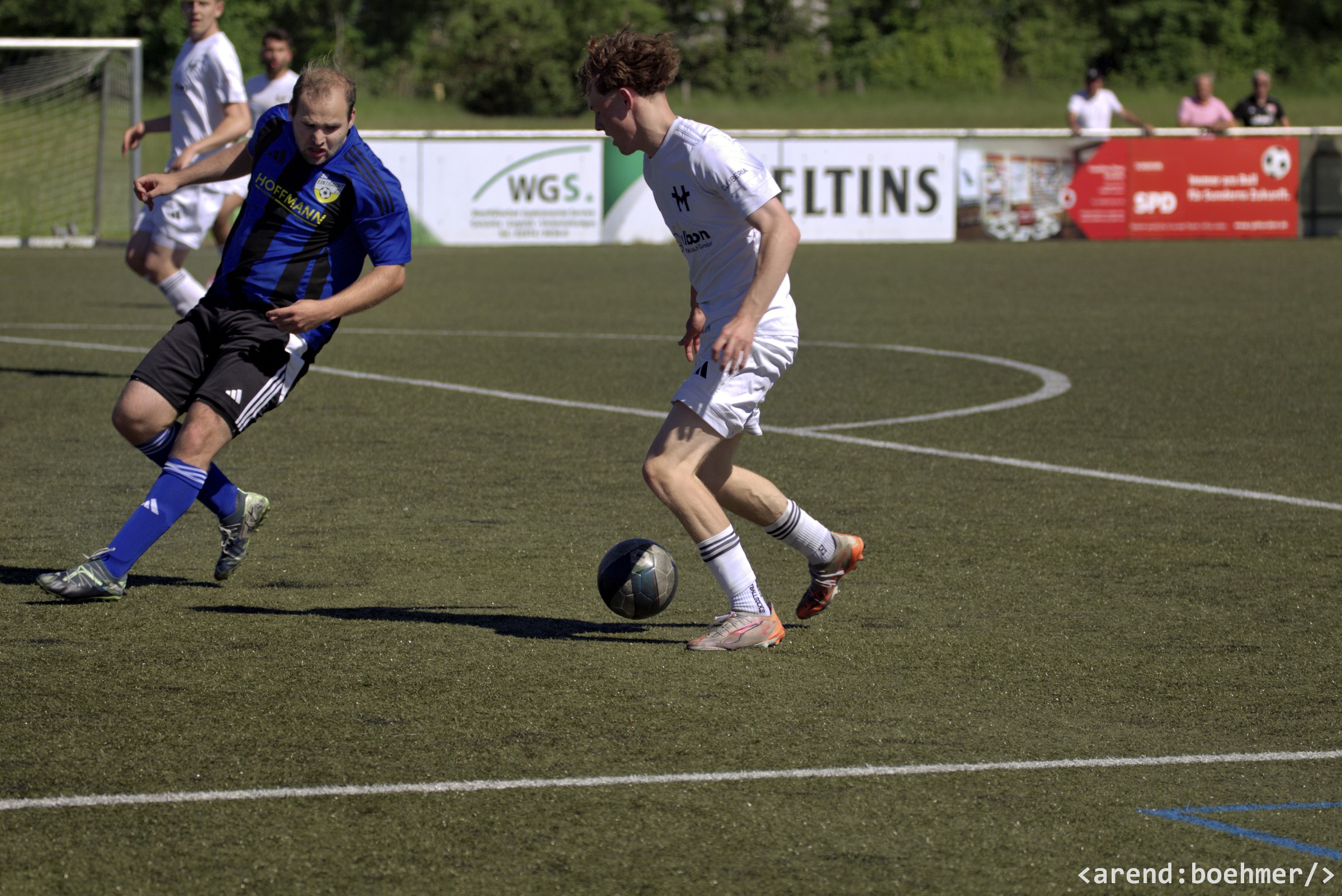 IMG 4868 web
