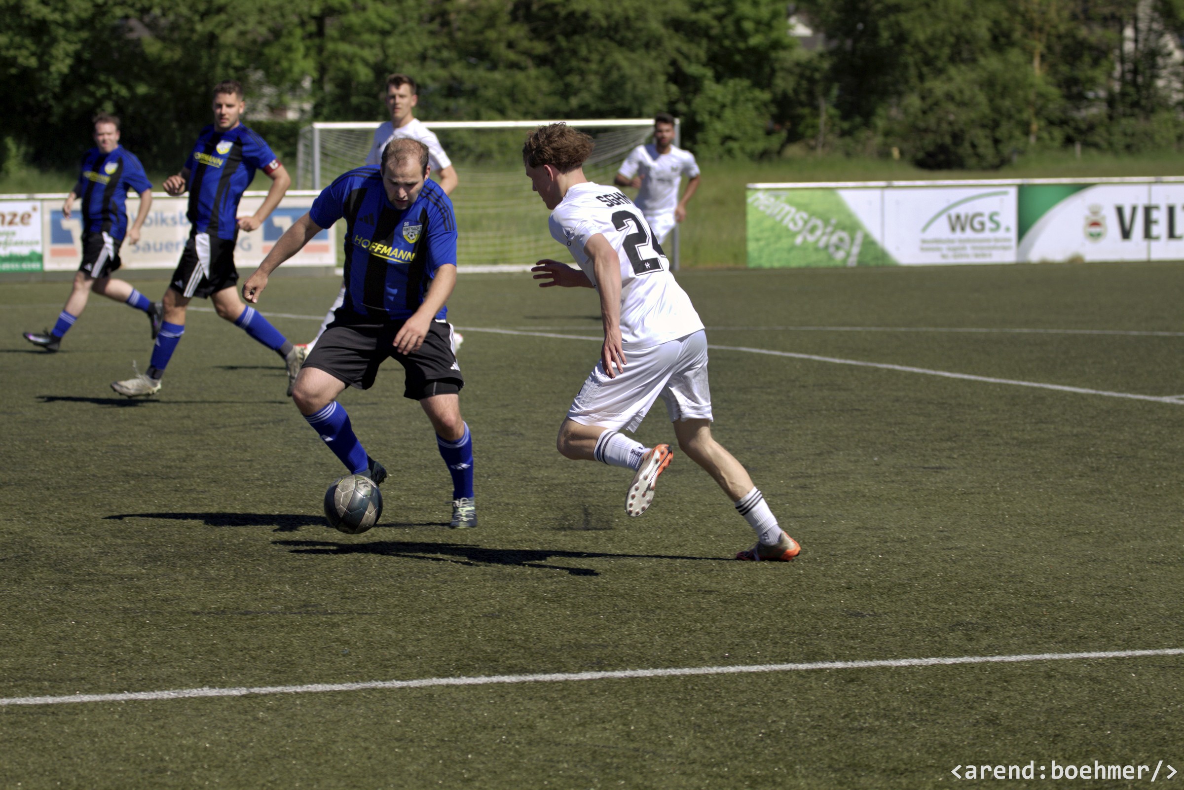 IMG 4869 web