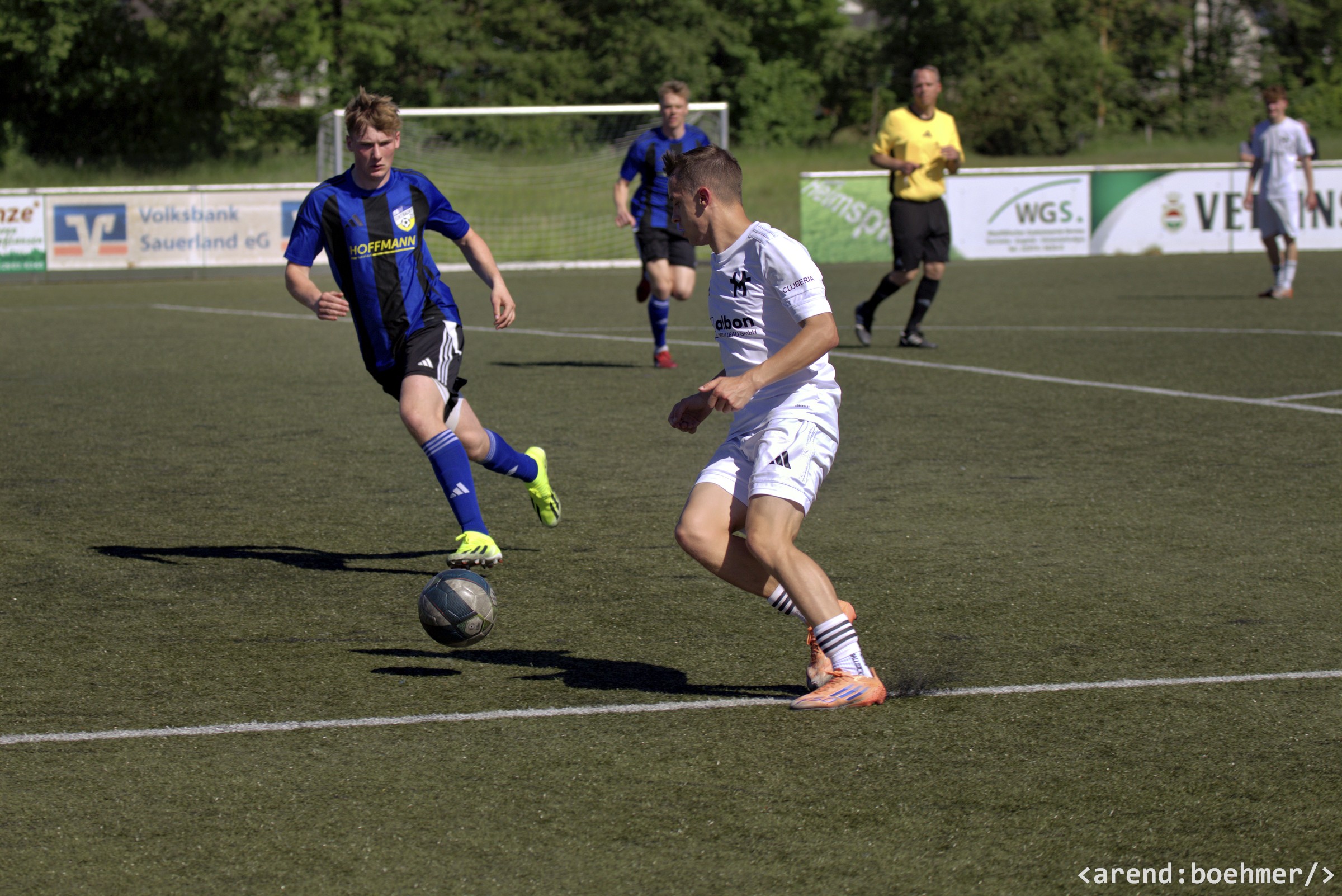 IMG 4884 web