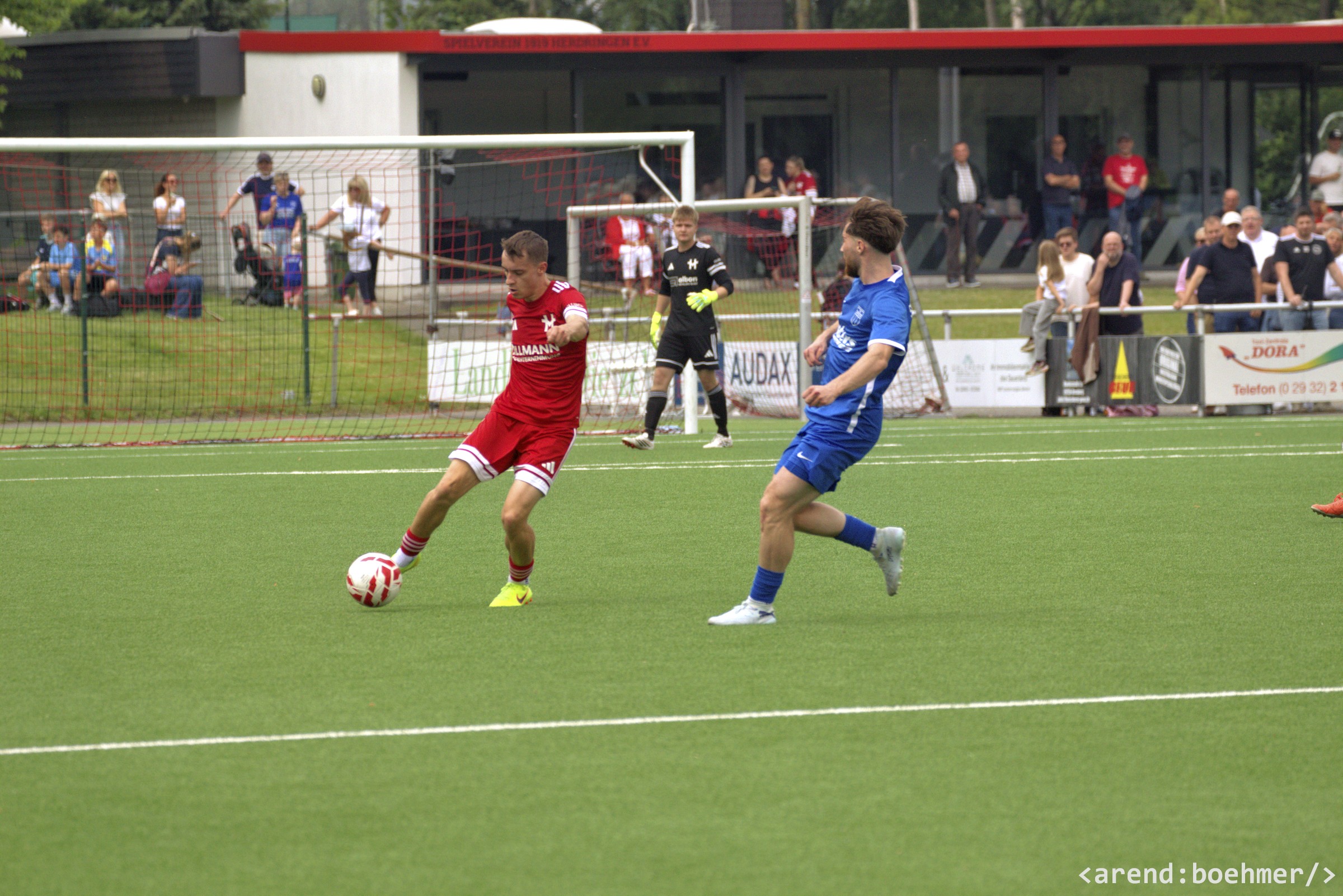 IMG 5017 web