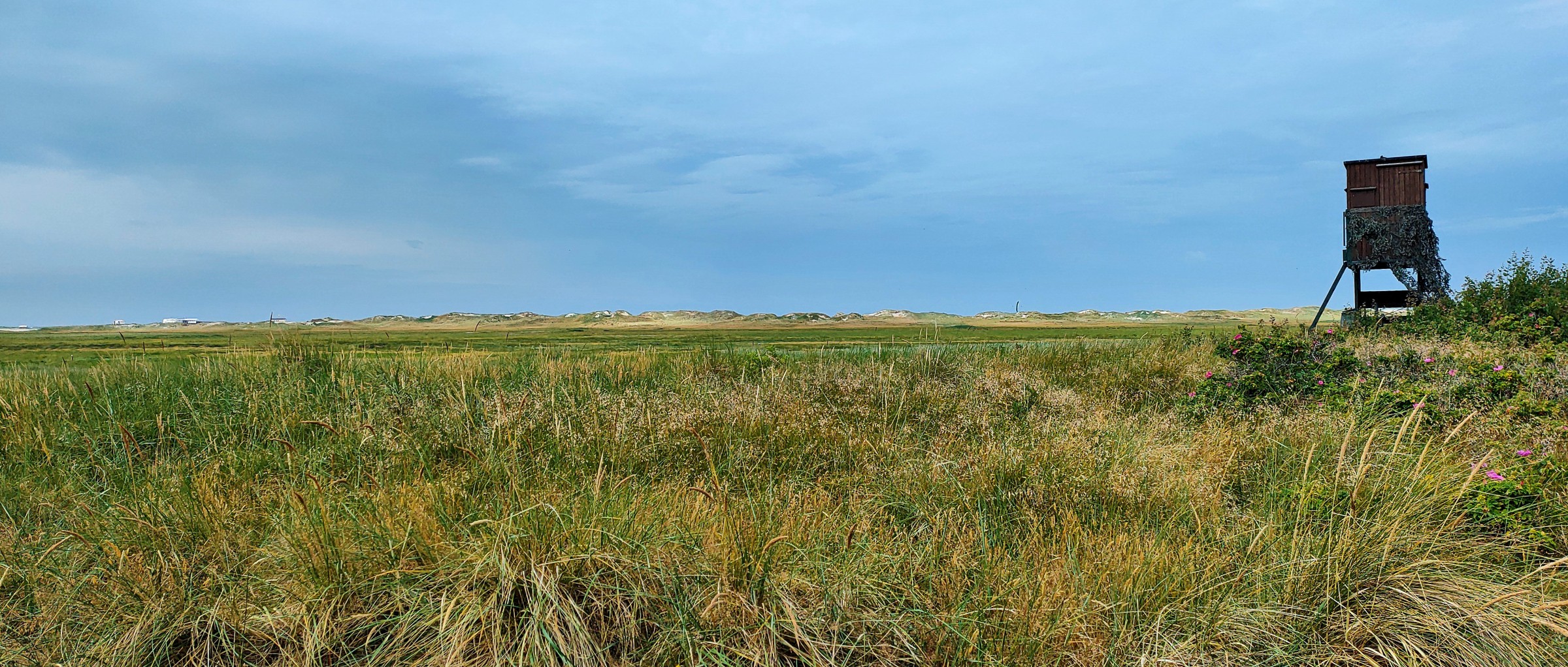 IMG20220721112345 web